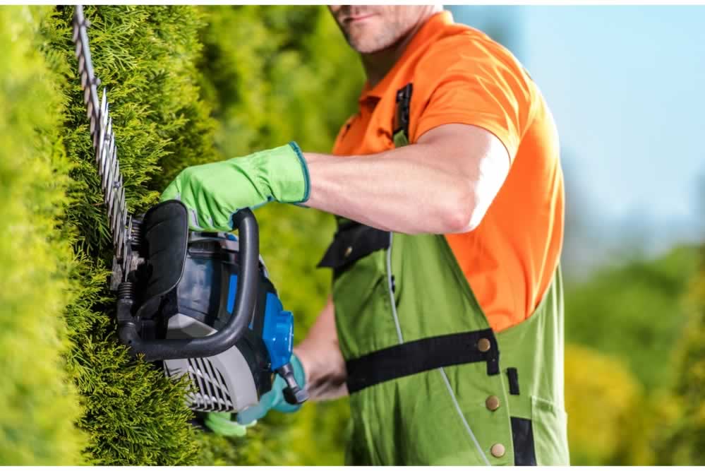 gartenpflege sd-gebäudereinigung